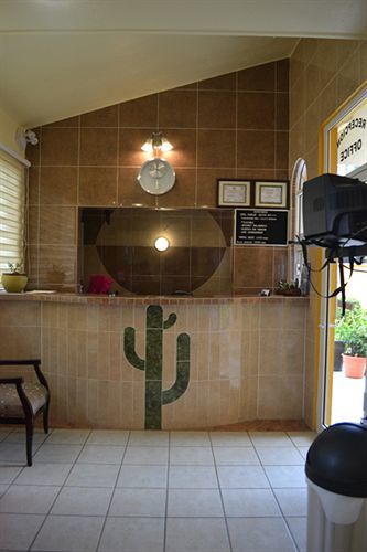 Bucerías Cactus Inn المظهر الخارجي الصورة